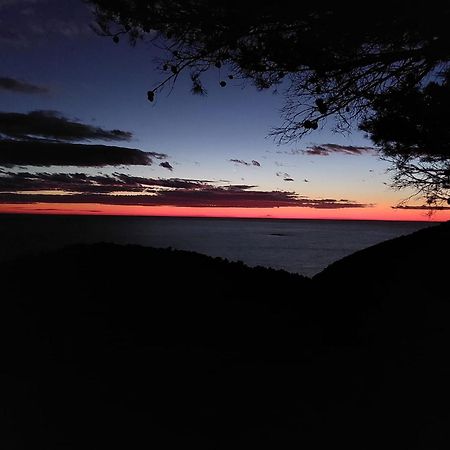 Apartmani Marija Mljet Sobra エクステリア 写真