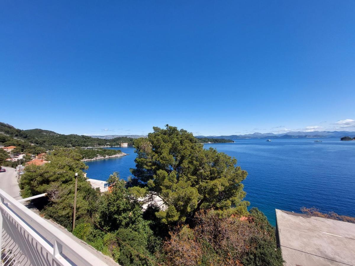 Apartmani Marija Mljet Sobra エクステリア 写真